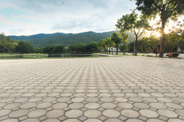 Best Residential Driveway Paver Services  in Four Oaks, NC